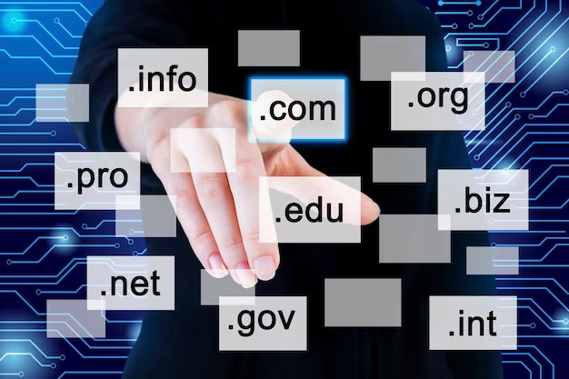 choose your website domain name