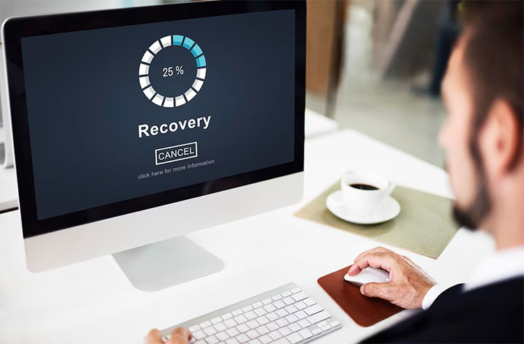 website backup recovery
